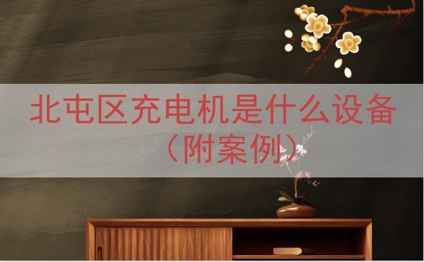 北屯区充电机是什么设备（附案例）